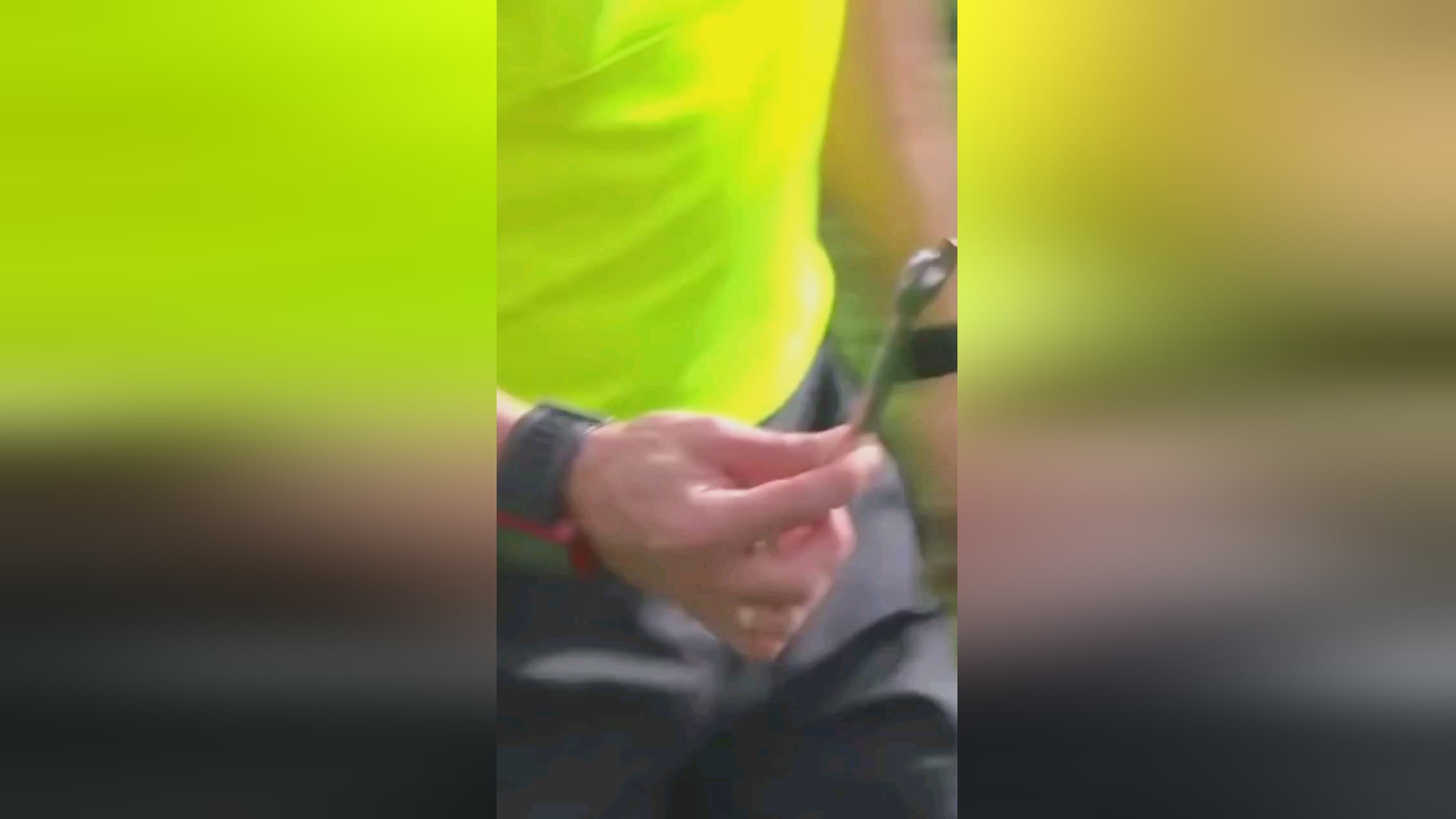 仅仅取决于
